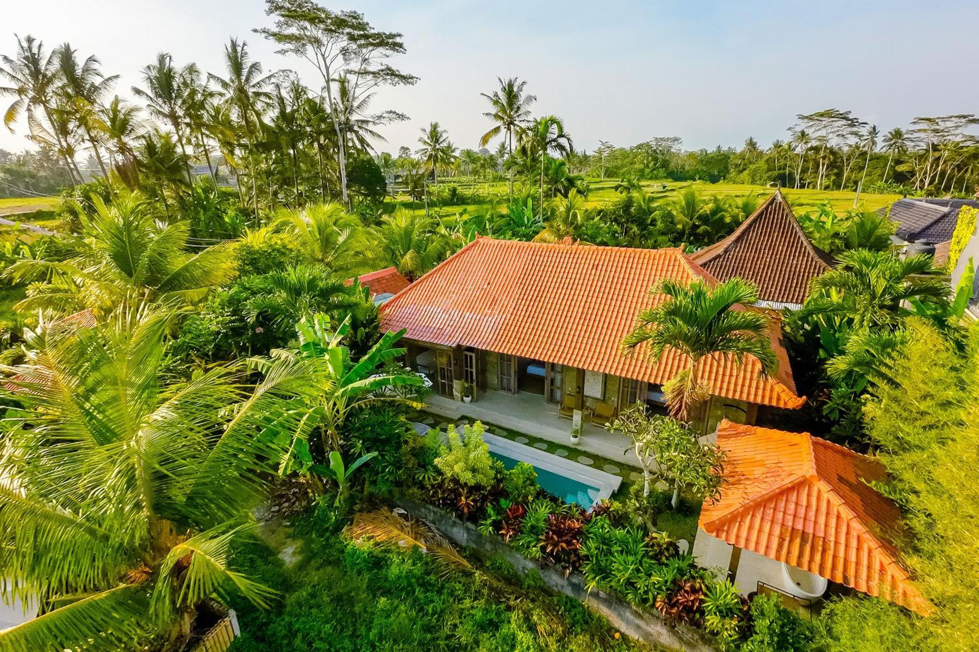 Nyaman Villas By Evdekimi Ubud Exterior foto
